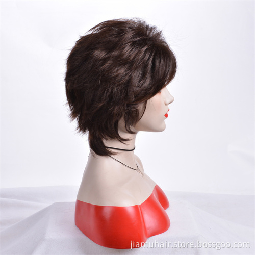 Short Synthetic Brown Wigs Synthetic Straight Hair Soft Layered Hair Wigs for Women Daily Wig Cosplay